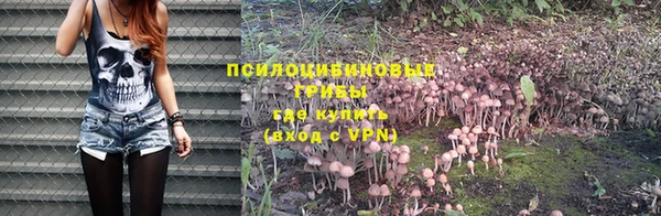 мяу мяу кристалл Ладушкин