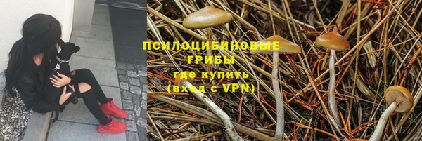 мдма Лагань